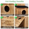 DRYLF Screech Owl House, Owl Bird Box Large Handmade Wooden