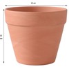 OLEEP Clay Pots - 10 Pack (5.5 inch) Large Terra