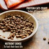 Wellness CORE Natural Grain Free Dry Cat Food