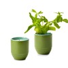 Modern Sprout Garden Vibes 2-in-1 Soy Candle & Planter -