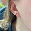 Alexcraft Stud Earrings 925 Silver Earrings Set for Women Multiple