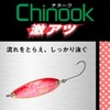 DAIWA Chinook Lure, Super Atsu, 0.4 oz (10 g), Black