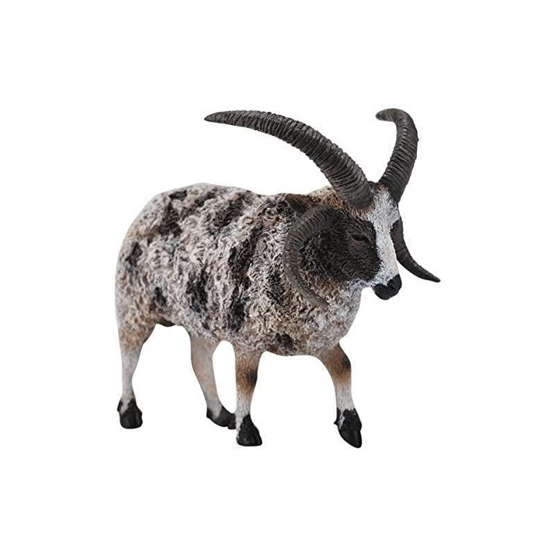 CollectA Jacob Sheep