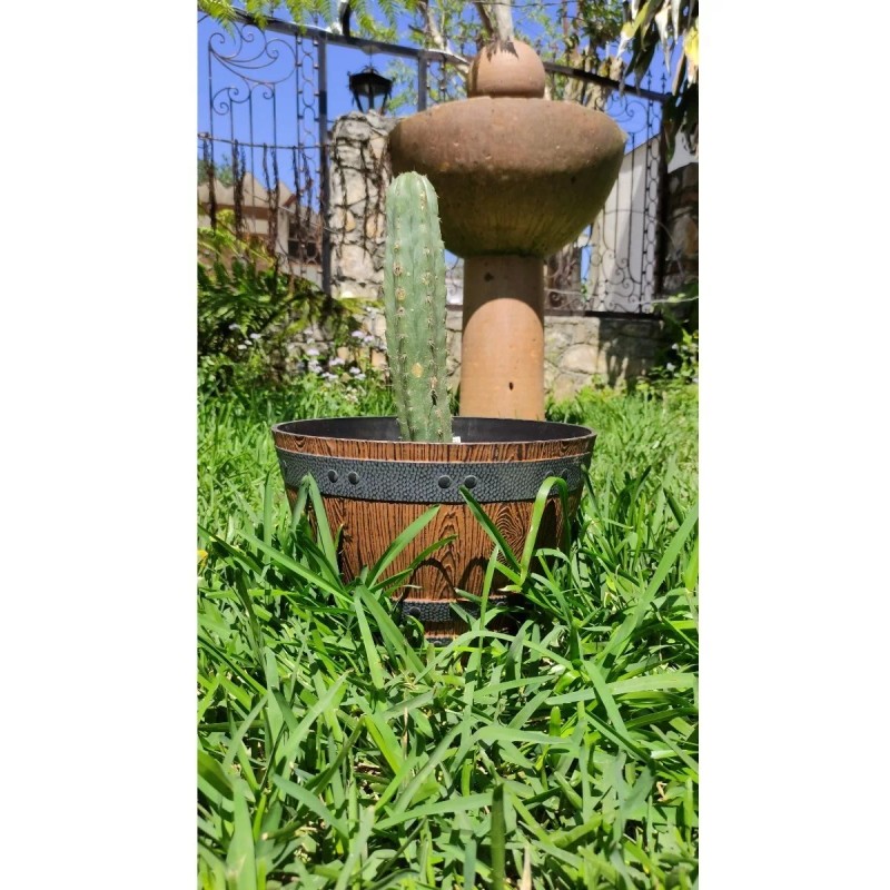 Woodford Barrel Macetas Estilo Barril Paquete 5 Piezas Para Jardin
