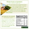 BROMELAIN - HIGHLY POTENT, 100% Organic, Protein-Digesting Enzyme! Improve Digestion