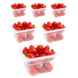 WELKOR 6 Pack Polypropylene Food Storage Containers for Party, Catering, Home kitchens Meal Prep,BPA-Free Stackable -40℉-160℉ (1.62QT(1.53L), 1/6 size 4 inch deep)