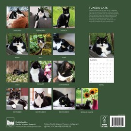 2026 Black and White Cat Wall Calendar | 12" x 24" Open Calendar | Kitten Photography Thick & Sturdy Paper for Planning | Office Kitchen Decor or Gift | Pacific Waters Press (Tuexdo Cat)