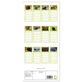 Familienplaner 2025 - Bouvier des Flandres mit 5 Spalten (Wandkalender, 21 cm x 45 cm), CALVENDO