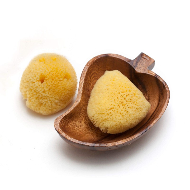 Grünspecht 510 V1 Baby Natural Sponge, Zimocca