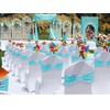 WENSINL Pack of 100 Wedding Silver Chair Sashes, Elastic Chairs
