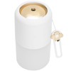 300ml Air Humidifier Mist Maker Sprayer Night Light USB Plug