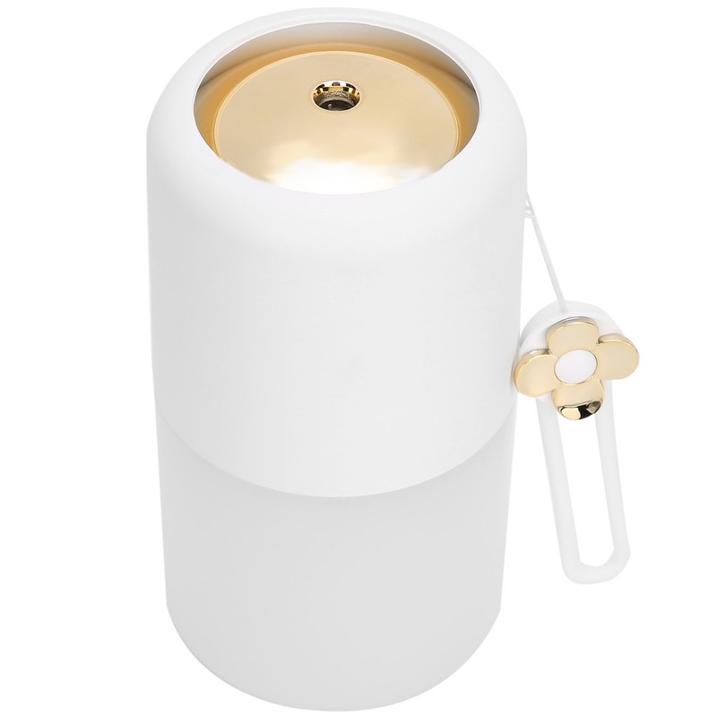 300ml Air Humidifier Mist Maker Sprayer Night Light USB Plug