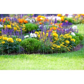 YardGard Welded Wire 2X4 Inch Mesh 48 Inch X 50 Foot 14 Gauge Galvanized Steel Wire Fence Ideal for Animal Enclosures, Cage Wire, Property Protection, Garden Fence, Rabbit Fence, and Utility Fence