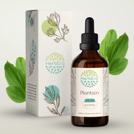 HerbEra Plantain Herbal Extract Tincture Organic (Plantago lanceolata) - 4 fl oz