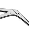 Alligator Forceps Surgical & Veterinary Instruments 12"