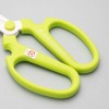 Hand Creation F170 Light Green