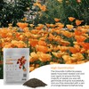 Groundio California Poppy Seeds, 1 OZ Wildflower Seeds for Planting