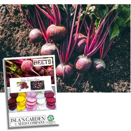 Ruby Queen Red Beet Seeds for Planting, 100+ Heirloom Seeds Per Packet, (Isla's Garden Seeds), Non GMO Seeds, Botanical Name: Beta vulgaris, Great Home Garden Gift