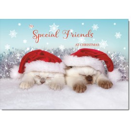 doodlecards Special Friends Christmas Card Two Cats with Santa Hats Medium Size Christmas Card for Special Friends with Plain Envelope