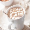 1 lb Bag Campfire Mini Marshmallows – Vanilla Flavored, Gluten