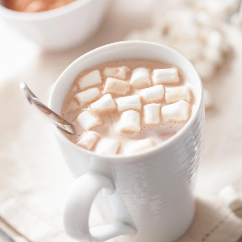 1 lb Bag Campfire Mini Marshmallows – Vanilla Flavored, Gluten
