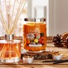 Colony Pumpkin Spice Large Jar, Up to 100hrs