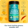 Ancient Nutrition Organic Supergreens Powder, Mango, 25 Servings + Multi