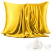 Aspire Homeware Pillow Cases 2 Pack - Super Soft Satin