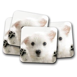 4 Set - Westie Puppy Coaster - West Highland Terrier Dog Puppies Fun #8954