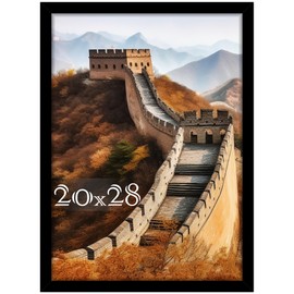 Picrit 20x28 Picture Frame, Poster Frame for Wall Mounting Display, Black