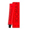 Schwarzkopf Igora Royal 8-77 - Light Blonde Copper Extra Hair Colour / Tint 60ml Tube by Ignora Royal