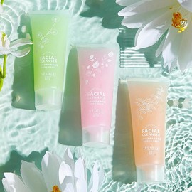 Wenmeiquan Exfoliating Lotion Exfoliating Facial Scrub Deep Cleansing Mild Non-Irritating Exfoliating Gel Summer - Specification: Camellia