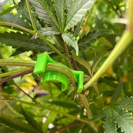 Smallwoods TS* Low Stress Trainer Clips (LST) 90 Degree Plant Training to Manipulate Growth, Plant Stem Trainer/Bender, Replace Trellis Net, Made in USA! (Green Mini/Clone&Seedling 30PK)