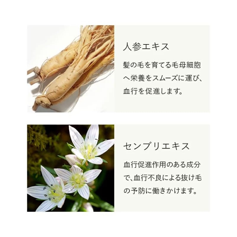 Shiono Chemical Hair Growth 3 Piece Set