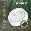Bed Bug Interceptors – 8 Pack | Bed Bug Blocker