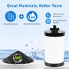 Water Filter Replacement, 2387 Pro Filter Replacement 5000 Gallon Throughput