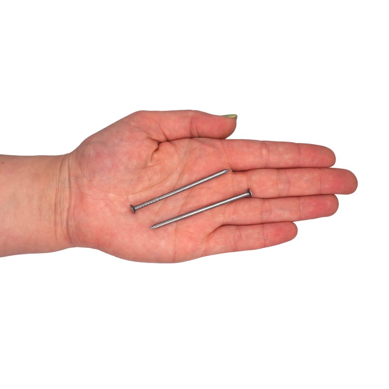 (Pack of 300) Steel 2.5 x 60 mm Construction Nails