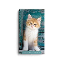DaySpring - Kitten 2024 – 2025 Planner - 28-Month - 2 Year Pocket Calendar (U0270)