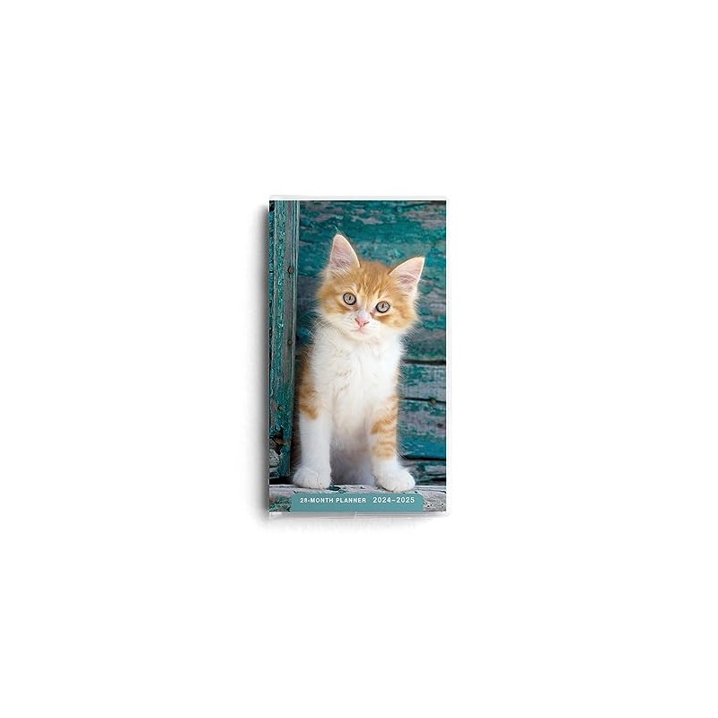 DaySpring - Kitten 2024 – 2025 Planner - 28-Month -