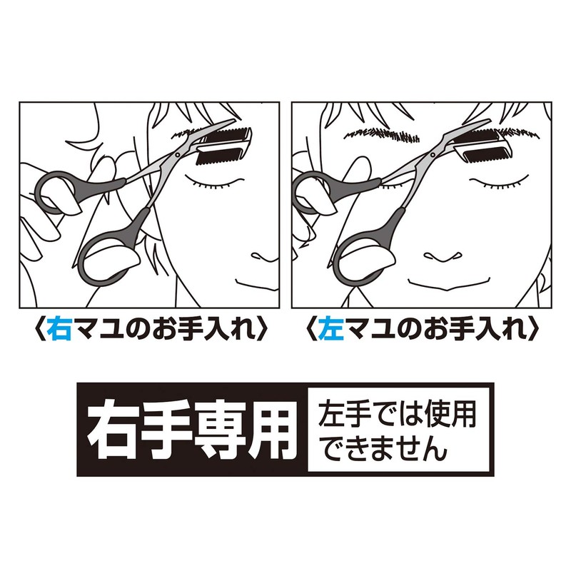 Kai Corporation Groom! HC3025 Eyebrow Scissors with Comb, 2-Way, 1