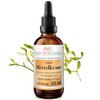Mistletoe 50 ml Tincture in 1:4 Extract