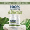Aceite De Orégano 450 Cápsulas Calidad Premium Sin Sabor