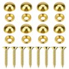 8Pcs Pure Brass Decorative Screws with Caps Mirror Fixing Screw