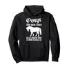 Pony Riding Horses Pullover Hoodie