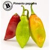 Bertie's Trinidad Pimento Sauce (10 Oz./300ml) | Adds Wonderful Flavour