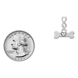 Delight Jewelry Silvertone Dog Bone with Heart Silvertone Infinity Post Earrings