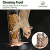 Kingsyard Upgraded Bluebird Feeder for Outdoors Hanging, Metal Mealworm Tube