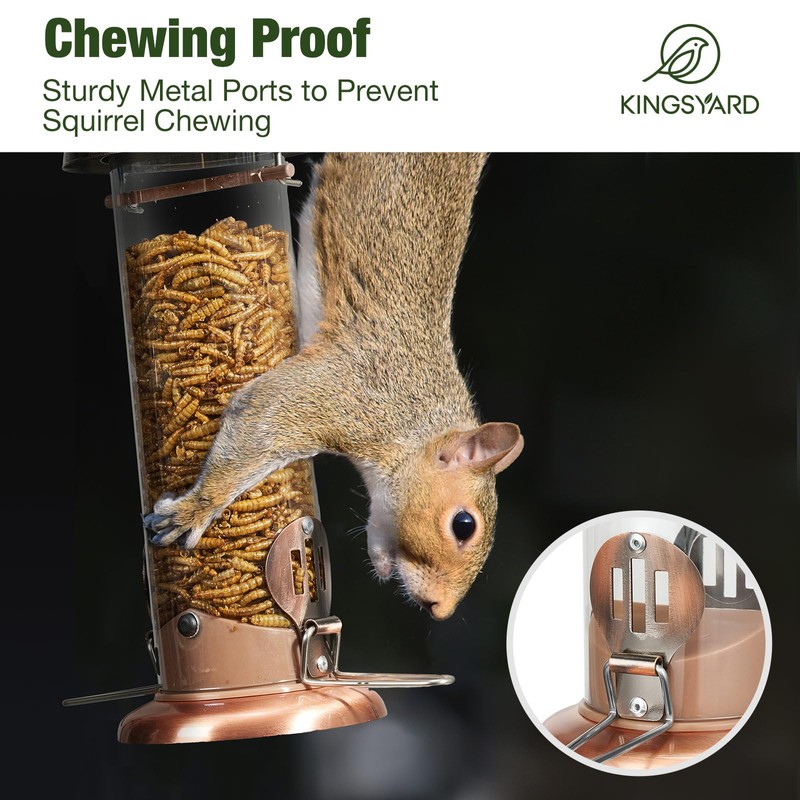 Kingsyard Upgraded Bluebird Feeder for Outdoors Hanging, Metal Mealworm Tube