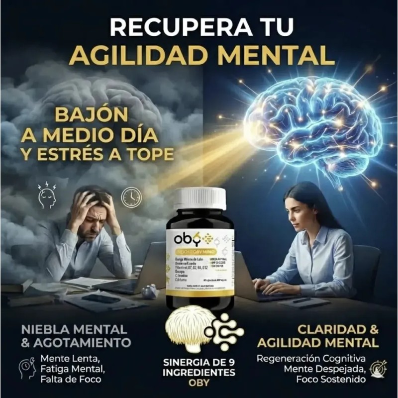 Nootropicos Neuroprotector Con Hongo Melena Leon, L Tirosina, Complejo Vitamina