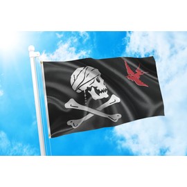 DMSE Pirate Jack Sparrow Jolly Roger Ship Crossbones Skull Flag 3X5 Ft Foot 100% Polyester 100D Flag UV Resistant (3' X 5' Foot)